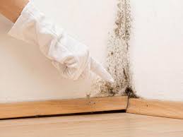 Best Asbestos and Lead Testing During Mold Inspection  in Plainfield, NJ